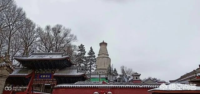 美文在今日头条里属于哪个领域？