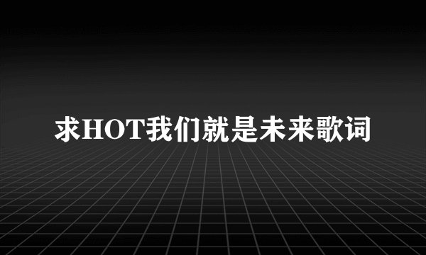 求HOT我们就是未来歌词