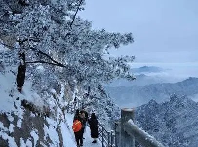 河南多景区飘起鹅毛大雪是否有吸引了更多的游客？