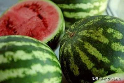 西瓜滞销的原因有哪些？农村地区公路限高会导致滞销吗？农民该如何应对？