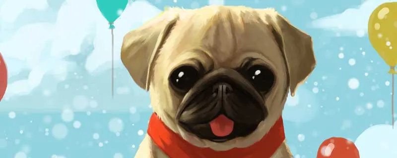 开宠物店需要什么条件 开宠物店需要什么资质