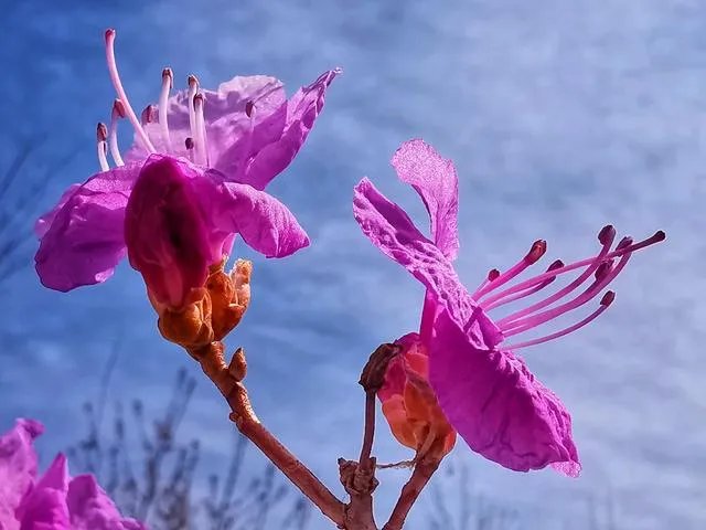 为什么糖水片往往在朋友圈有很高的点赞率，但却得不到摄影大咖们的认可？