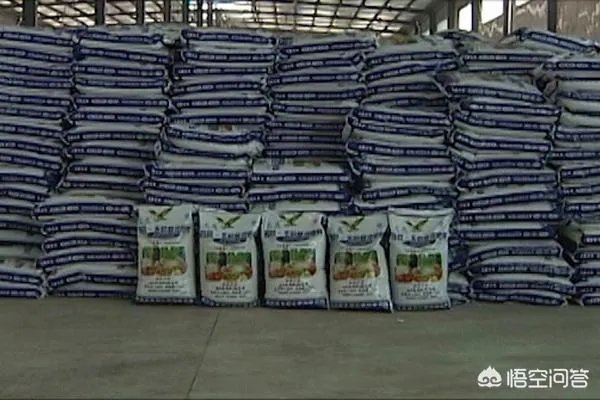 农民怎样才能发家致富?哪里的农民最赚钱？