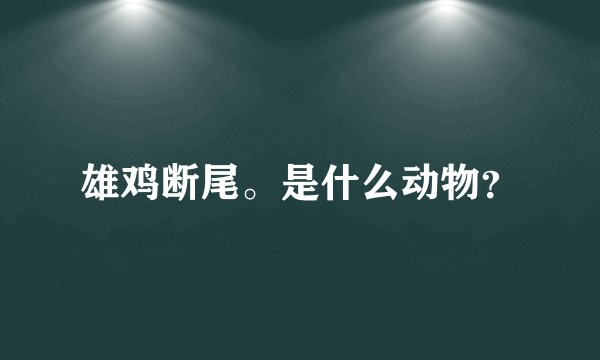 雄鸡断尾。是什么动物？