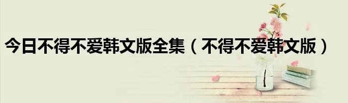 今日不得不爱韩文版全集（不得不爱韩文版）
