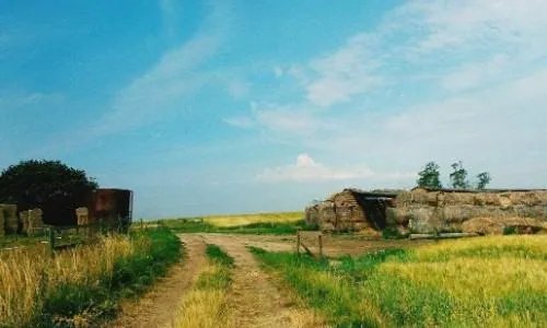 适合农村的创业项目有哪些？