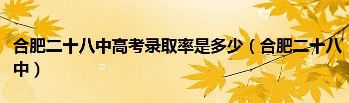 合肥二十八中高考录取率是多少（合肥二十八中）
