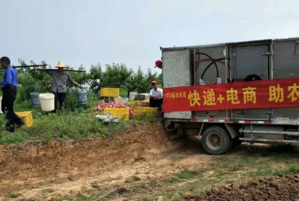 适合农村的创业项目有哪些？