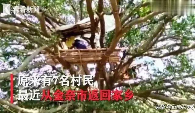 如何看待印度村民因没有自己单独房间住树上隔离？