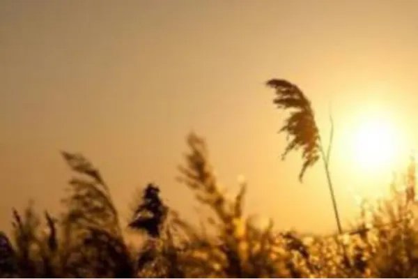 我爱你就像风走了千万里从不问归期什么意思