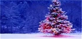 听说合肥有好多搞传销的啊？具体在那些小区？