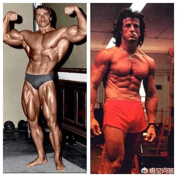 施瓦辛格和史泰龙谁比较大牌？