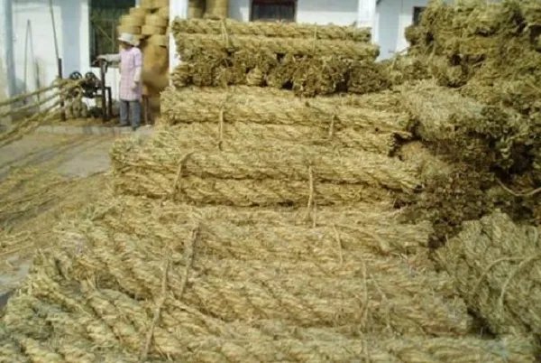 小型生产加工项目