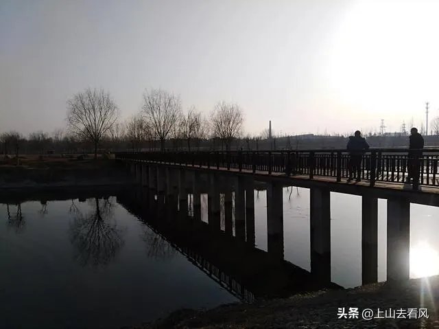 舒红兵四段婚姻