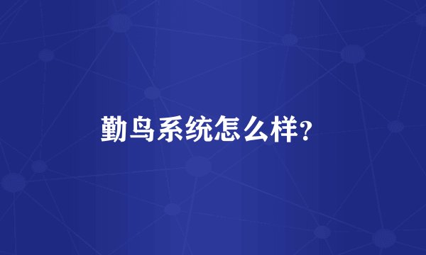 勤鸟系统怎么样？