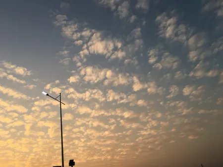 国家司法考试信息服务平台