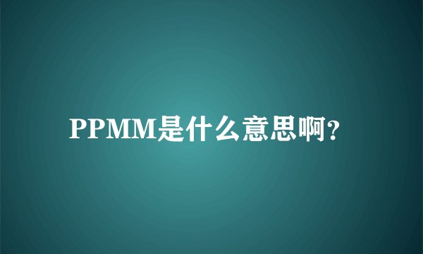 PPMM是什么意思啊？
