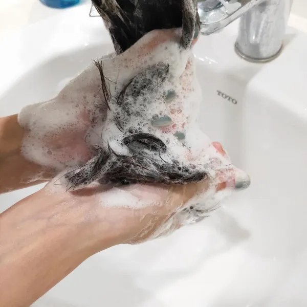 哪种洗发水好用?