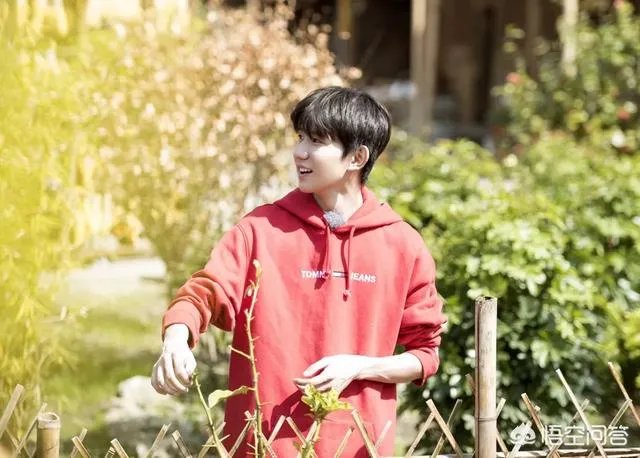 王源被质疑走后门，这算是抹黑吗？