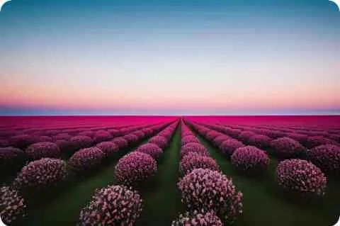 刘承俊详细资料大全