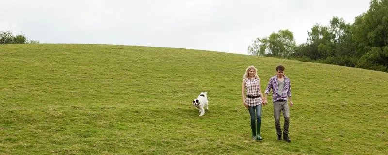 ​宠物的名字可爱霸气 霸气宠物名字大全