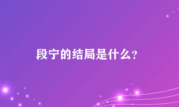 段宁的结局是什么？