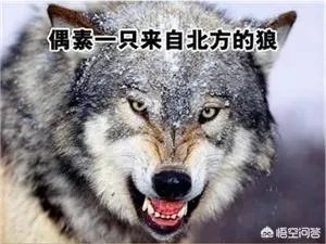 在龙岩生活是一种什么样的体验?