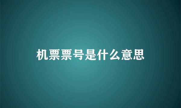 机票票号是什么意思