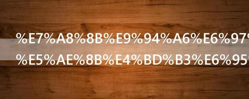 程锦时宁希宋佳敏的小说叫什么名