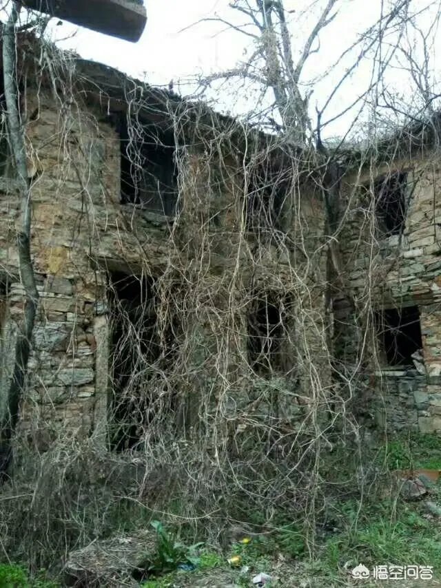 有没有人去过焦作封门村？