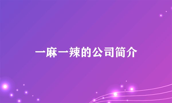 一麻一辣的公司简介