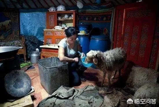 蒙古国资源那么丰富，为什么经济不怎么发达？