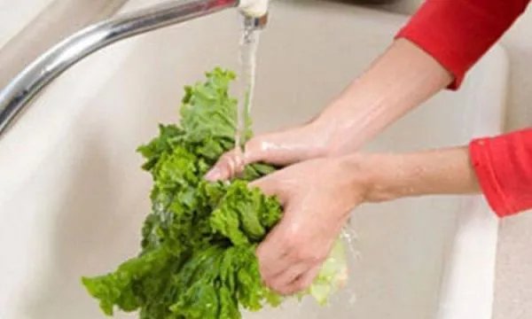 哈尔滨16名学生感染诺如病毒，传染源是否已经查实？