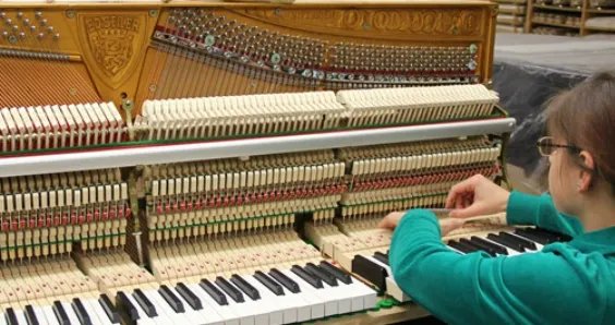 赛乐尔钢琴官网