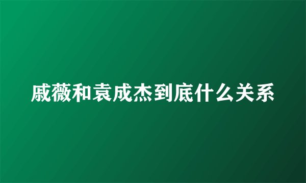 戚薇和袁成杰到底什么关系