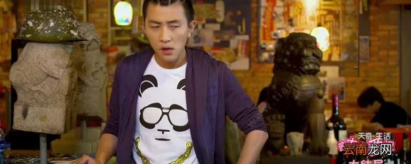 前夫求爱记的演员 前夫求爱记剧情介绍