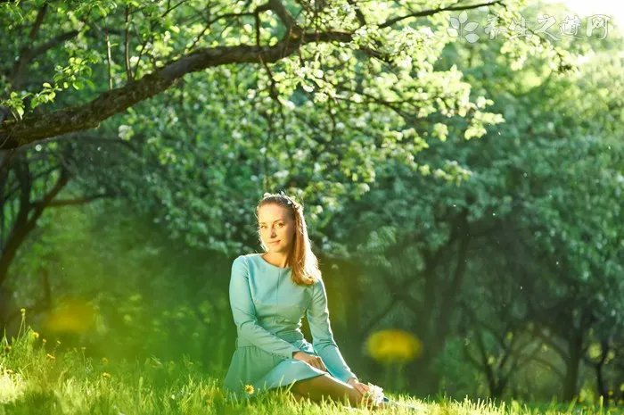 2014效果最好的减肥茶排行榜前十名