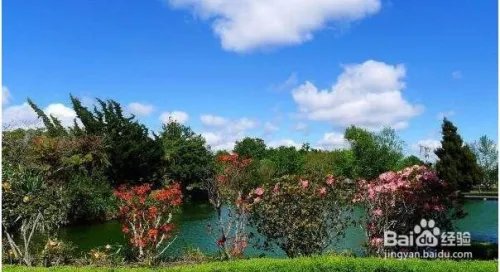 五一小长假去哪里玩呢？