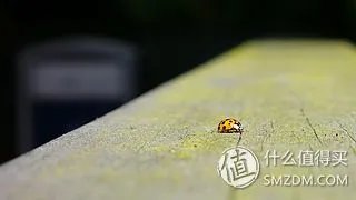 谢谢你陪我走过那段路  Panasonic  松下  Lumix  LX2  数码相机