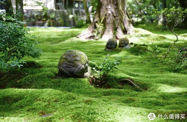 推荐京都旅行新视角，满足你对京都那些说不清的期待