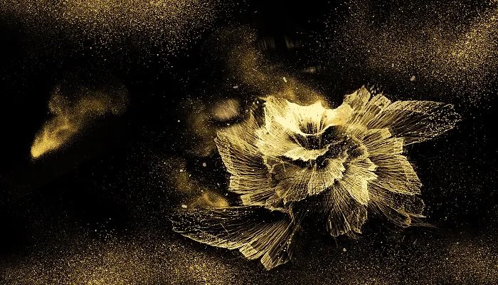 花开富贵是什么意思