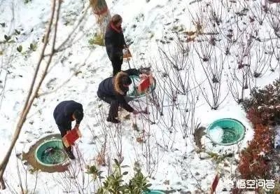 如何看待河南郑州一名3岁男童小区内坠深井，奶奶跳井救他再也没醒来？