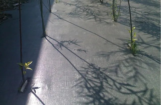 防草布的优点和弊端 土工布可以用来防草吗