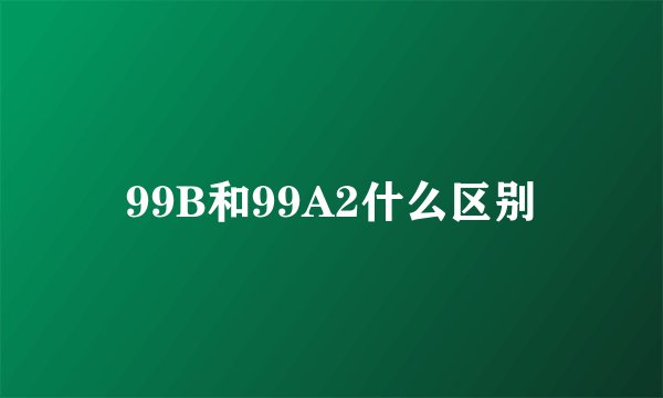 99B和99A2什么区别
