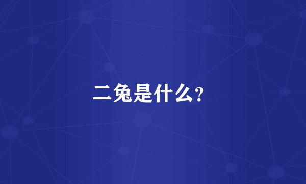 二兔是什么？