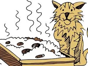 世界狂犬病日：这些狂犬病防控知识你要了解