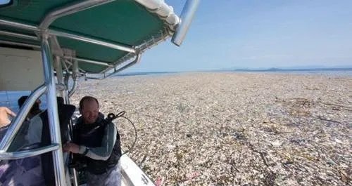 海洋中出现垃圾大陆，对我国海域会造成什么样的影响？