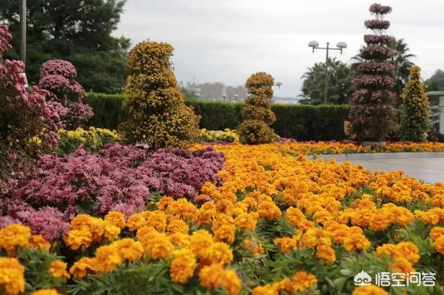 在龙岩生活是一种什么样的体验?