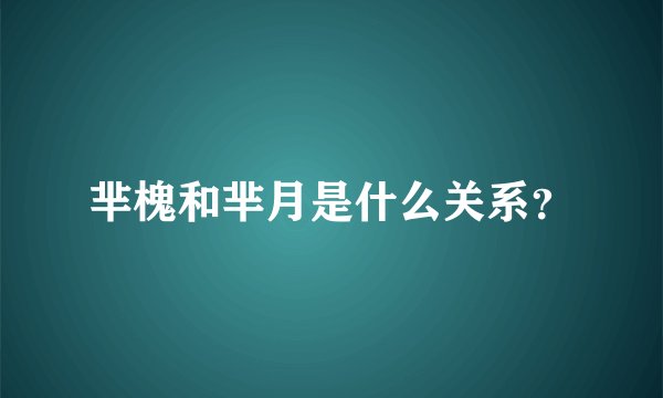 芈槐和芈月是什么关系？