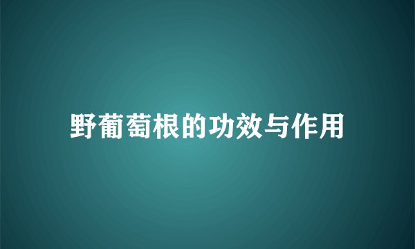 野葡萄根的功效与作用